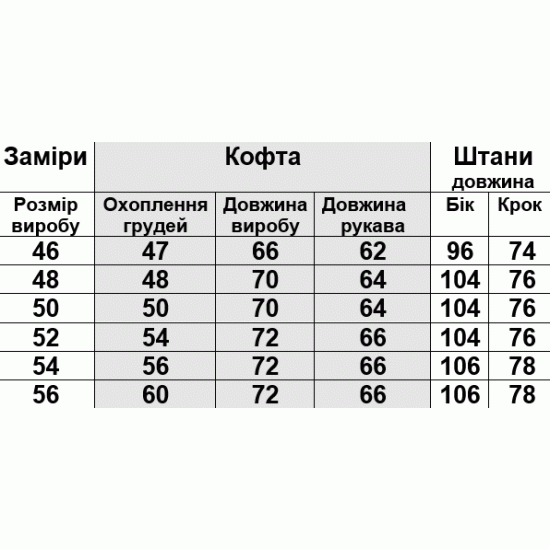 Комплект чоловічий зима