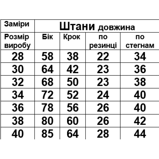 Штани спортивні 3-х нитка