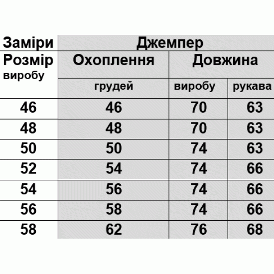 Джемпер чоловічий начісний