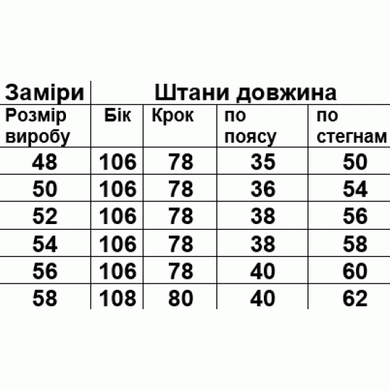 Штани чоловічі з кишенями 3-х нитка