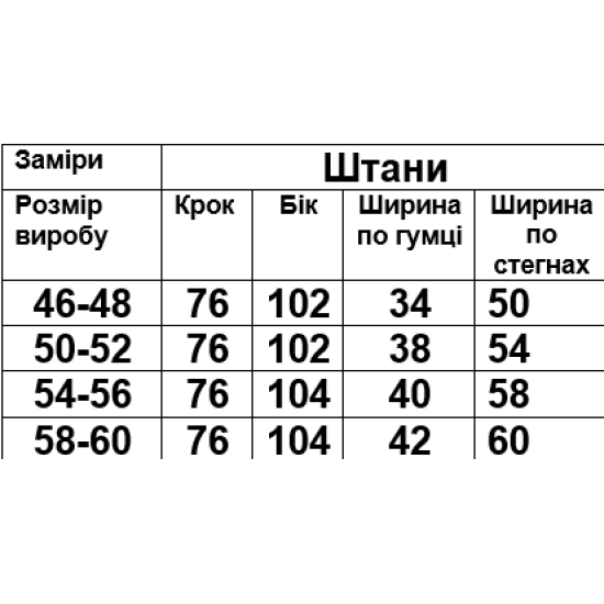 Штани чоловічі 2-х нитка