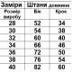 Штани 2-х нитка