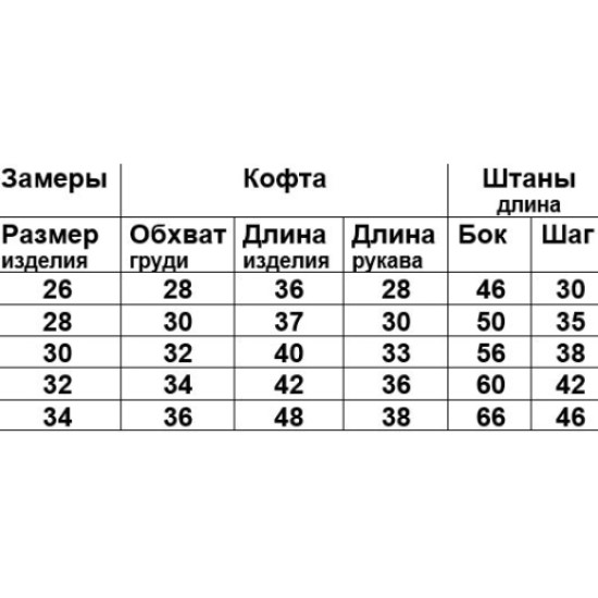 Костюм Діно сірий з кишенями