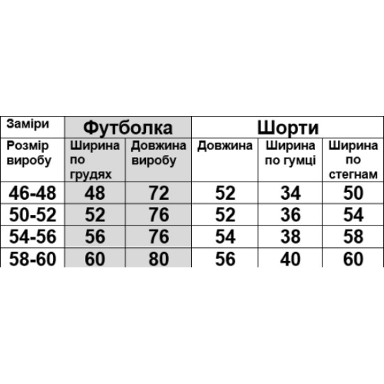 Шорти та футболка чоловічі